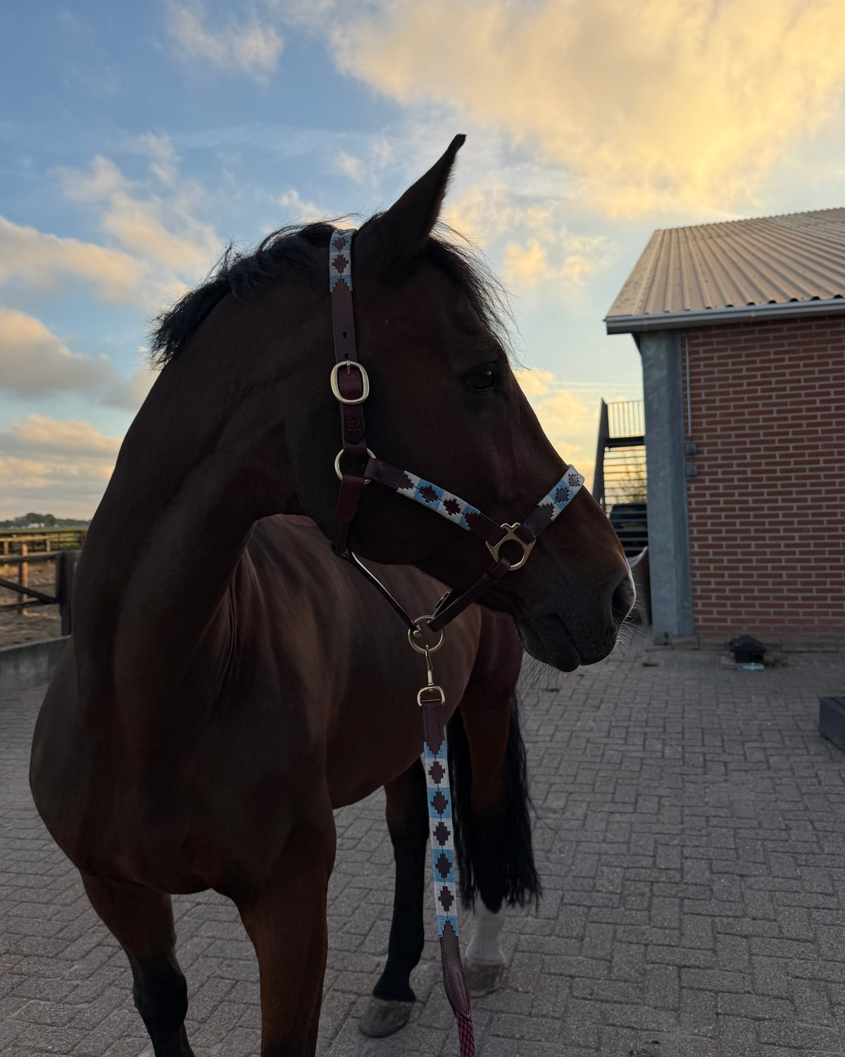 Polo halter - Corazón