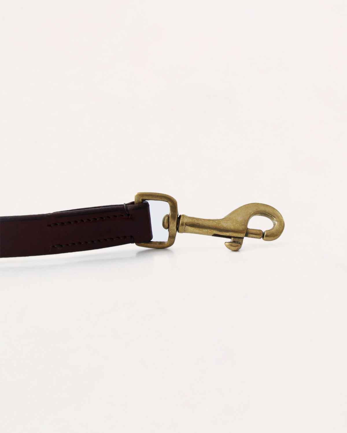 Dog Collar - Turquesa