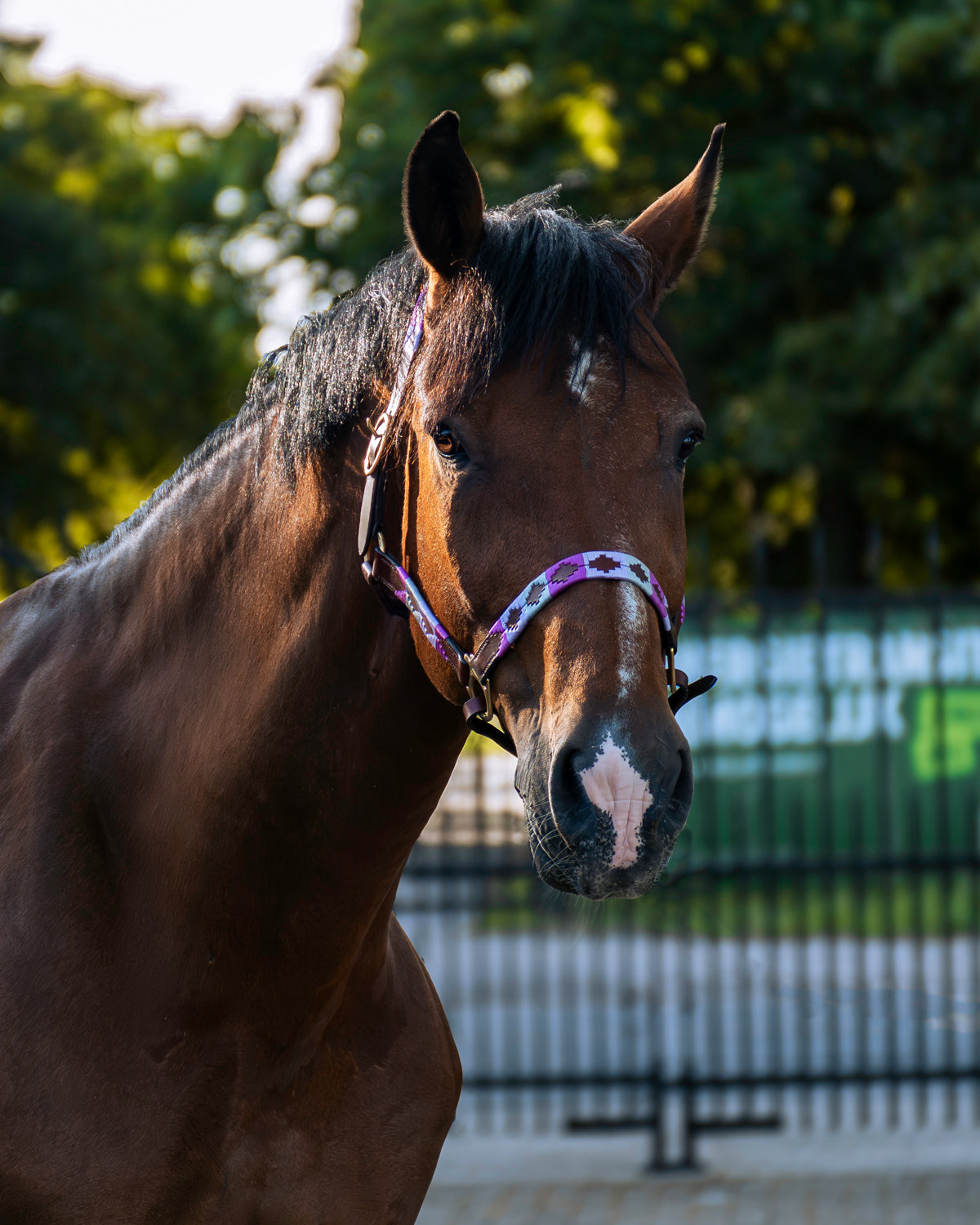 Personalized polo halter - Orquídea