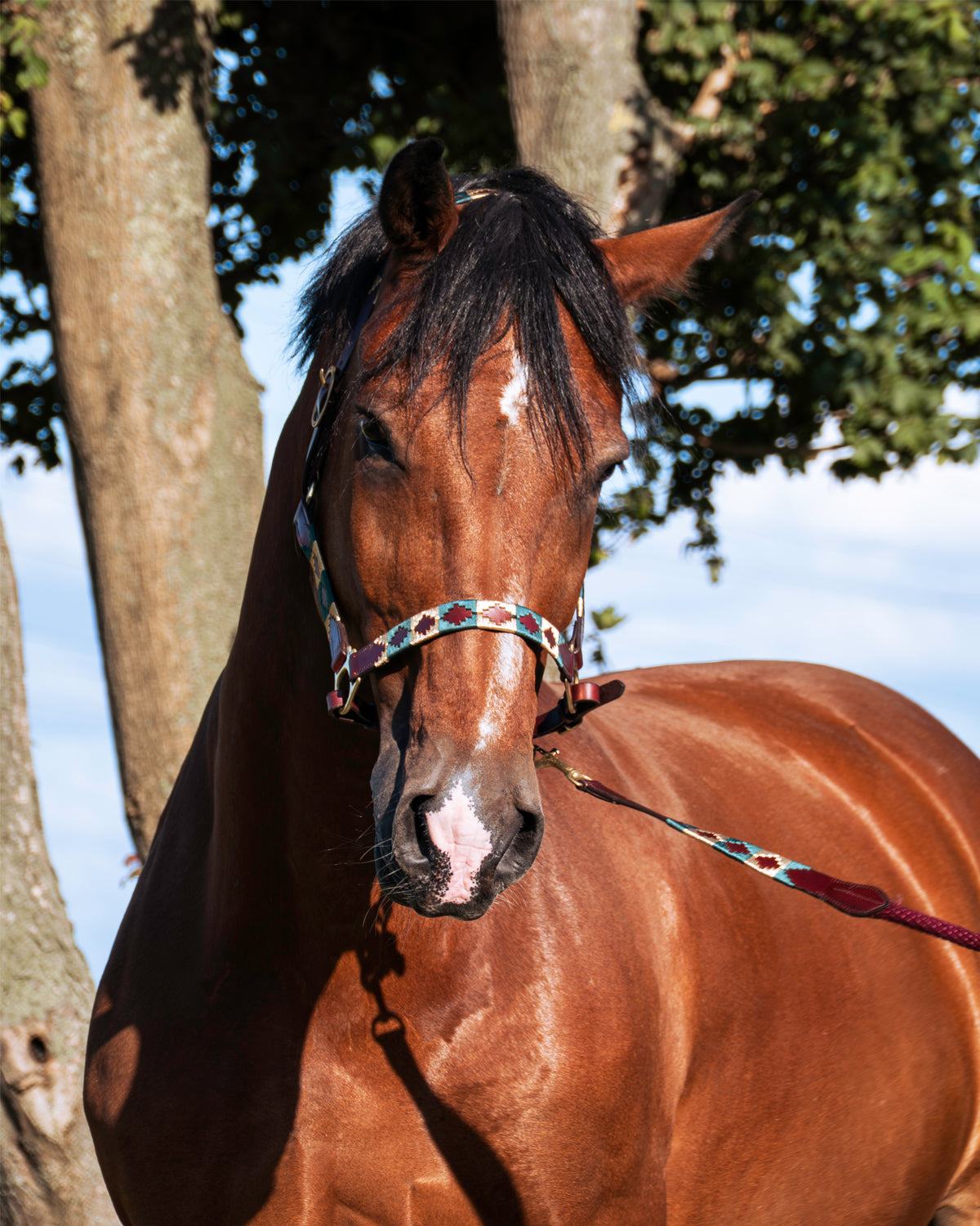 Polo halter - Oro