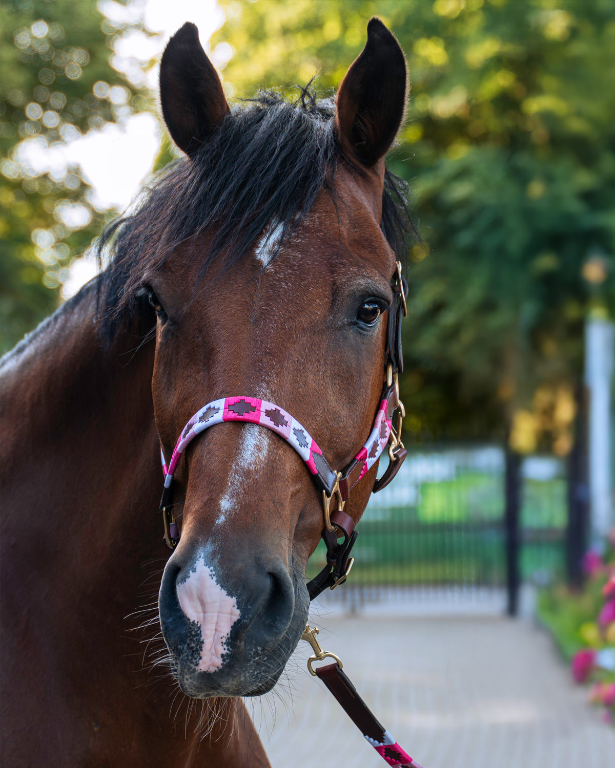 Polo halter - Rosa