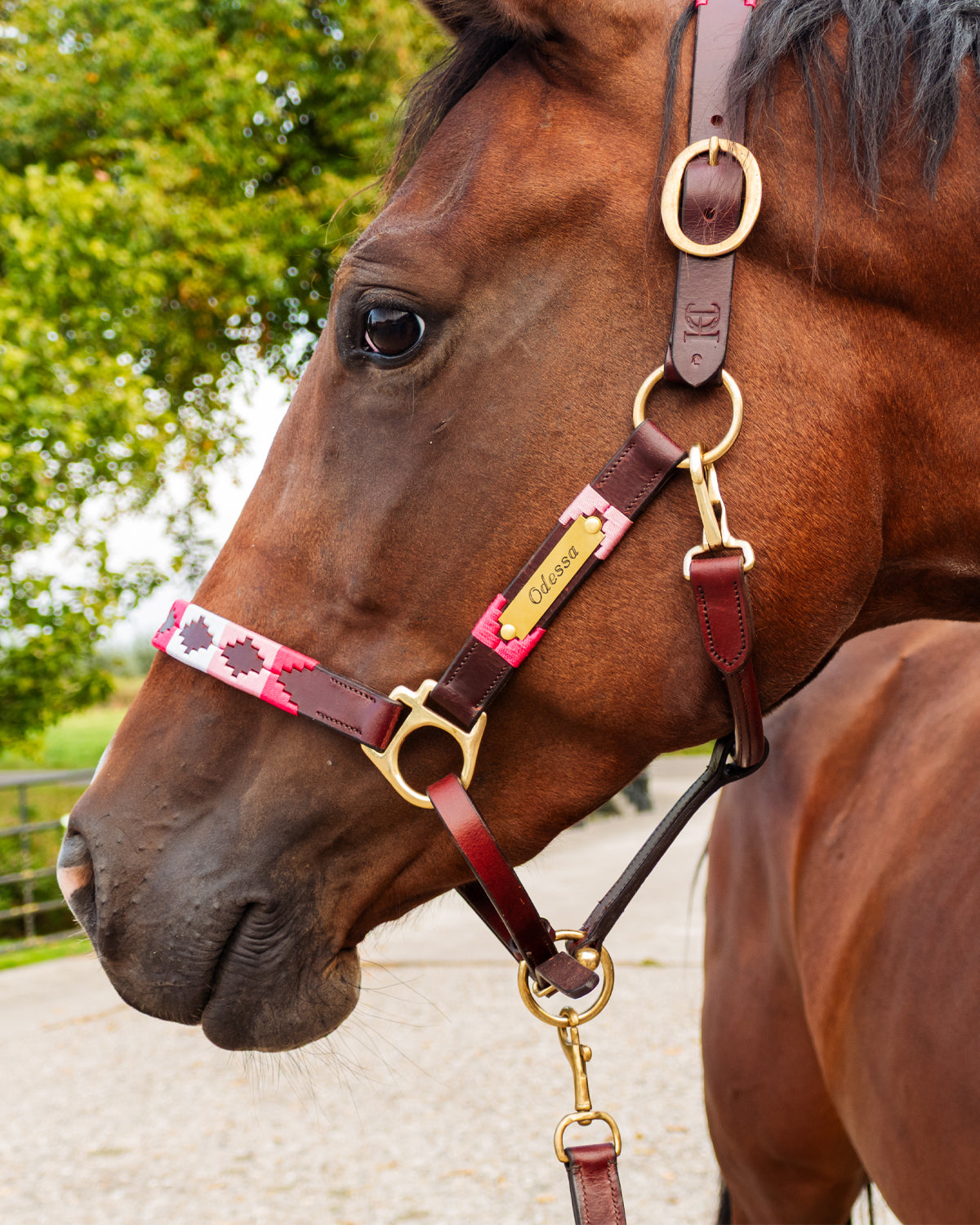 Personalized polo halter - Rosa