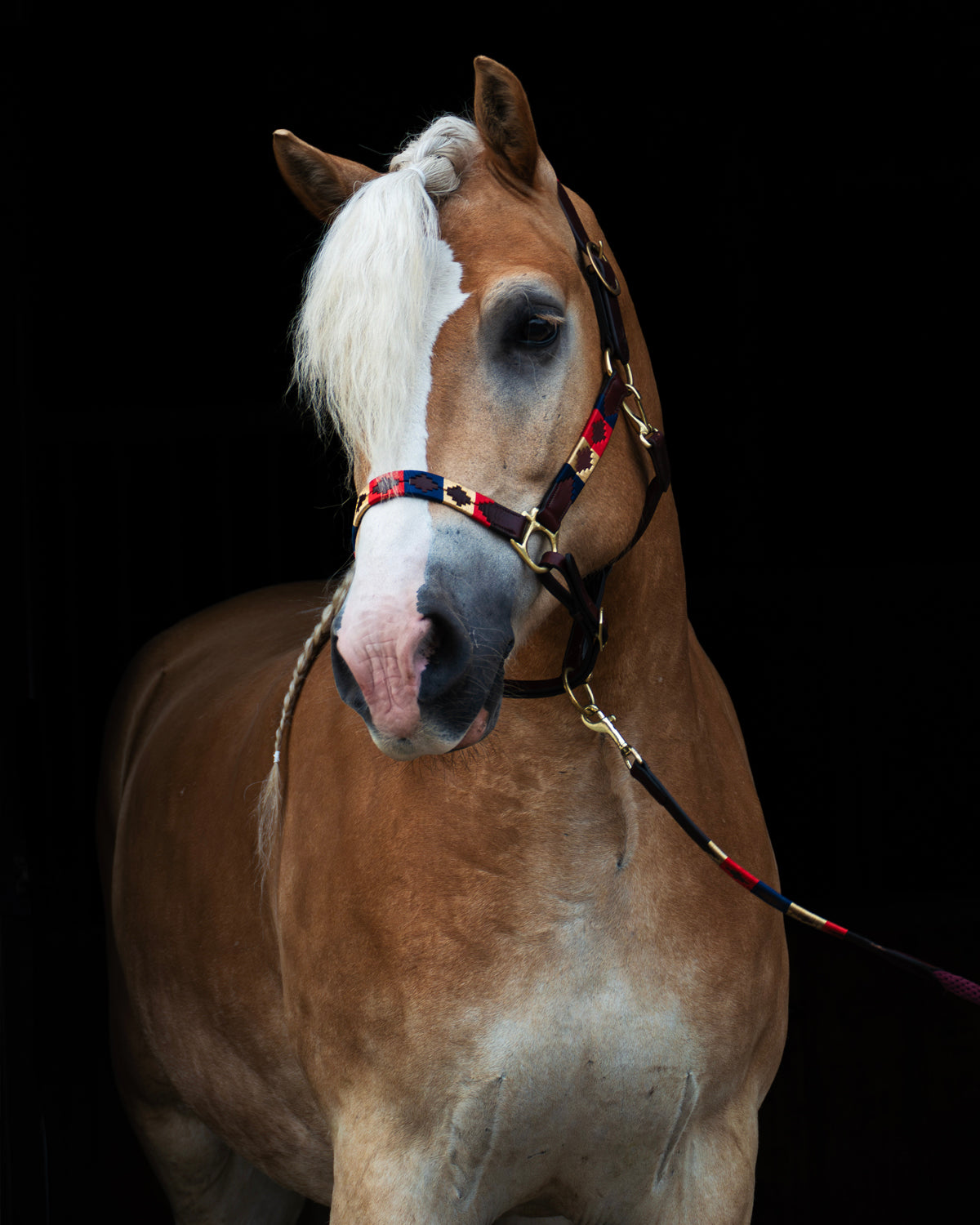 Polo halter - Royale