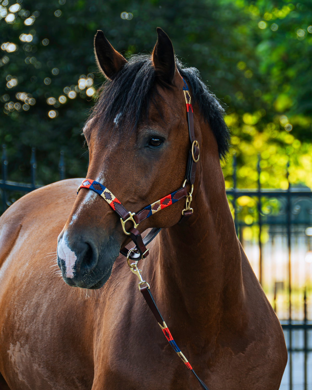 Polo halter - Royale