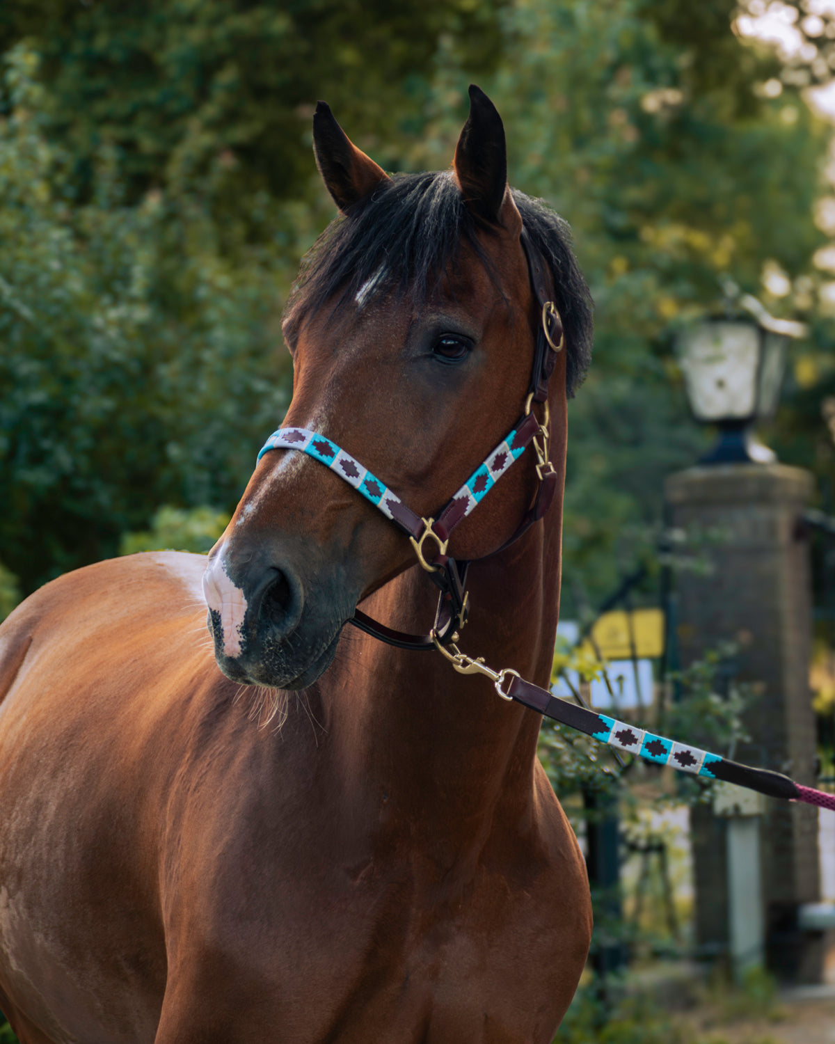 Personalized polo halter - Turquesa