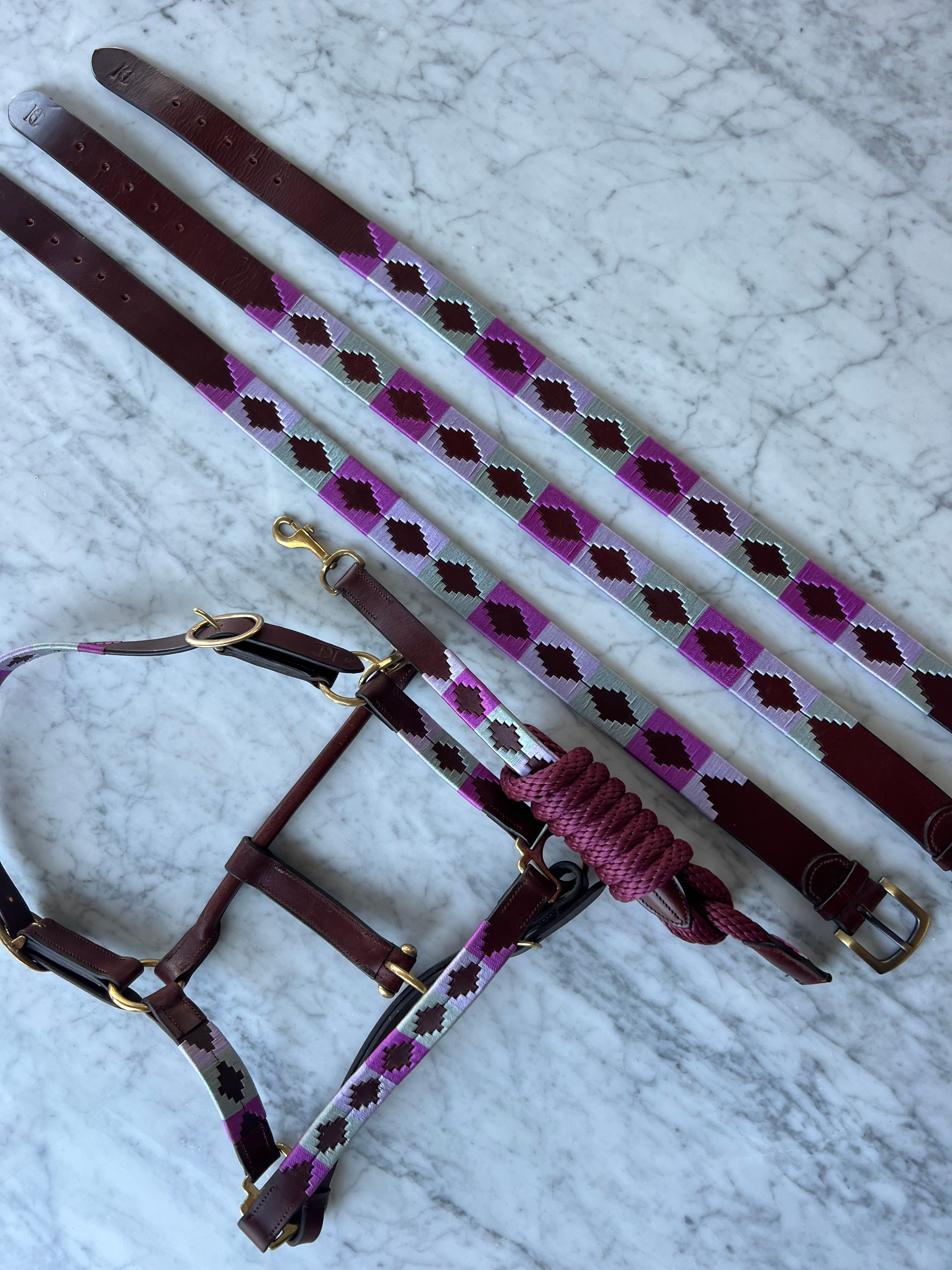 Polo belt - Orquídea
