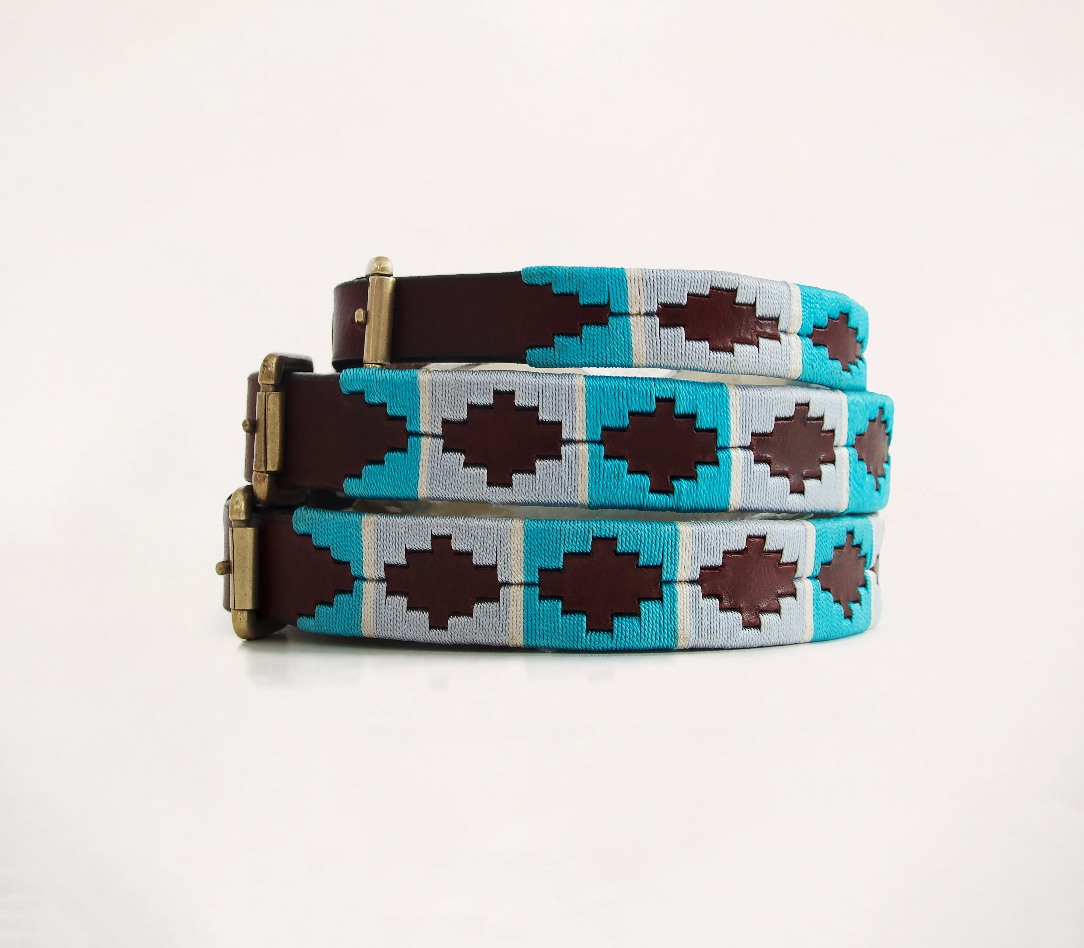 Dog Collar - Turquesa