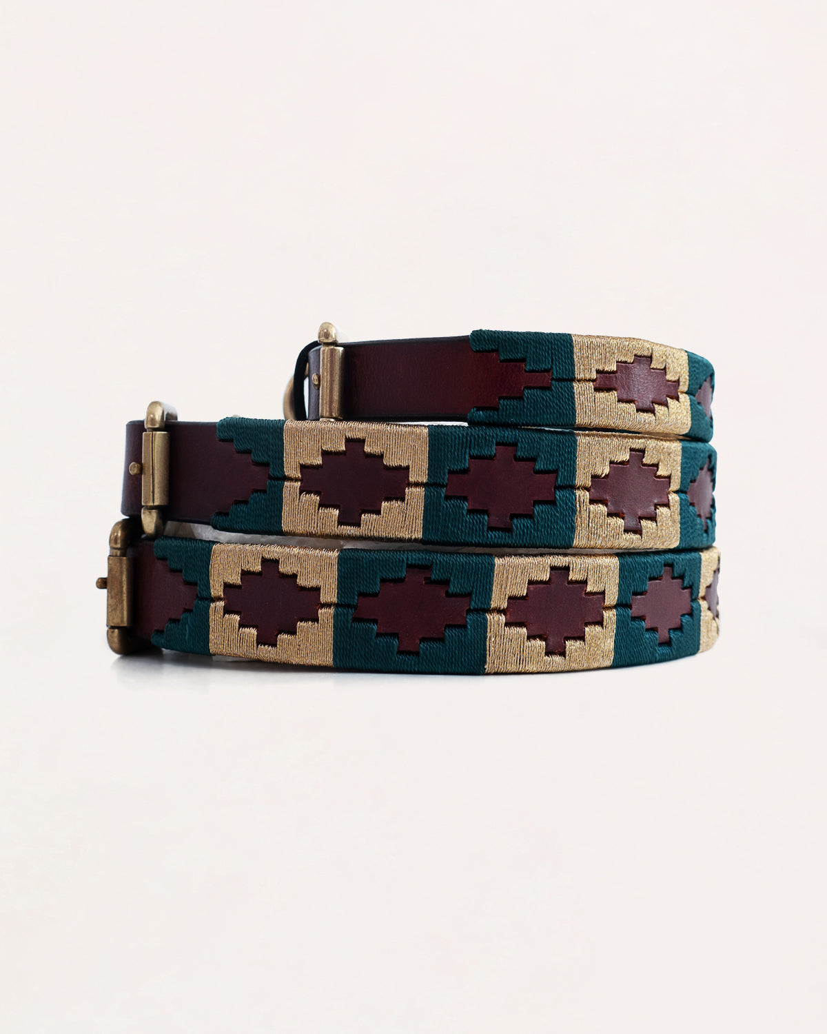 Dog Collar - Turquesa