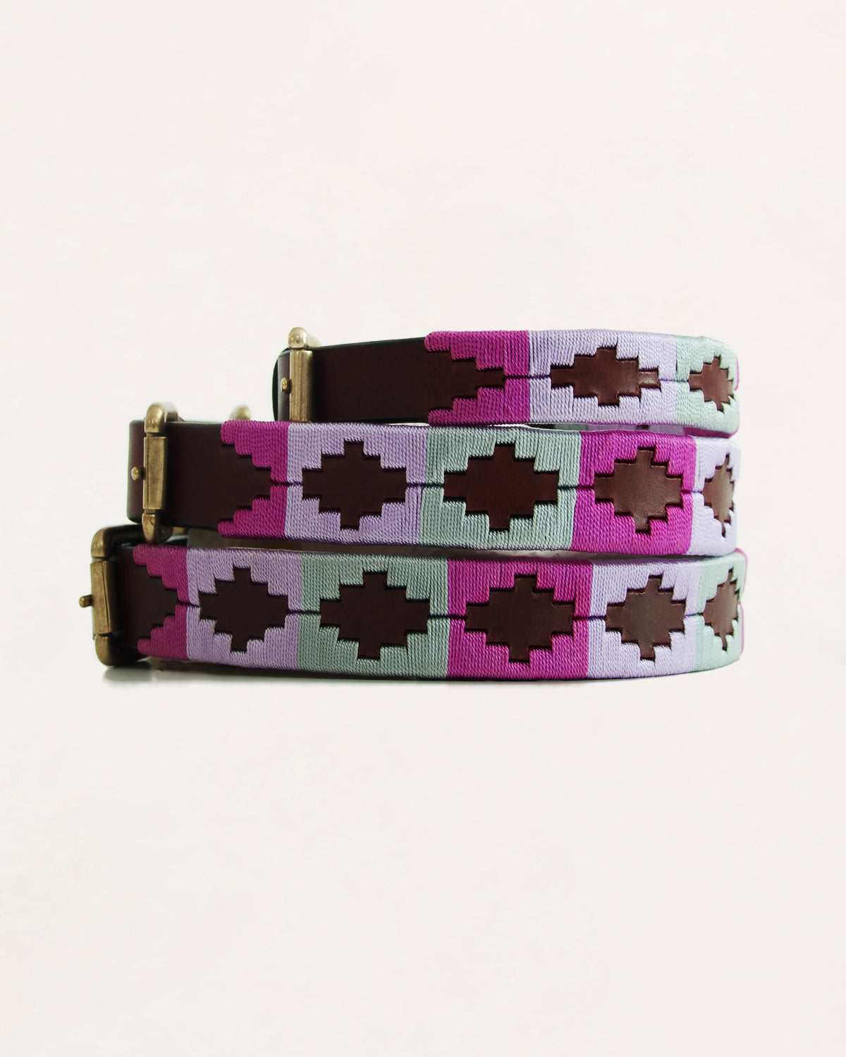 Dog Collar - Turquesa