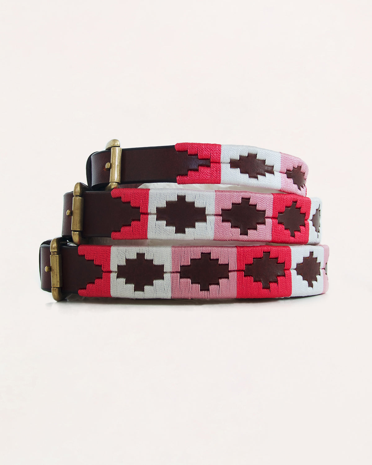Dog Collar - Turquesa