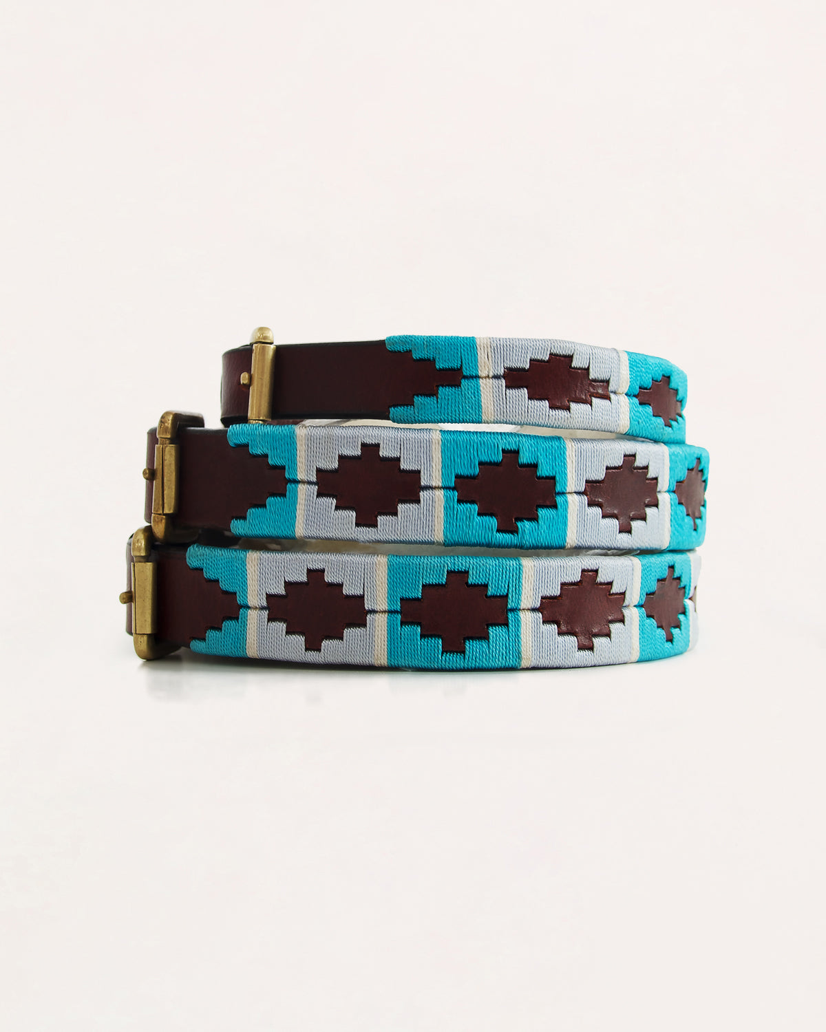 Dog Collar - Turquesa