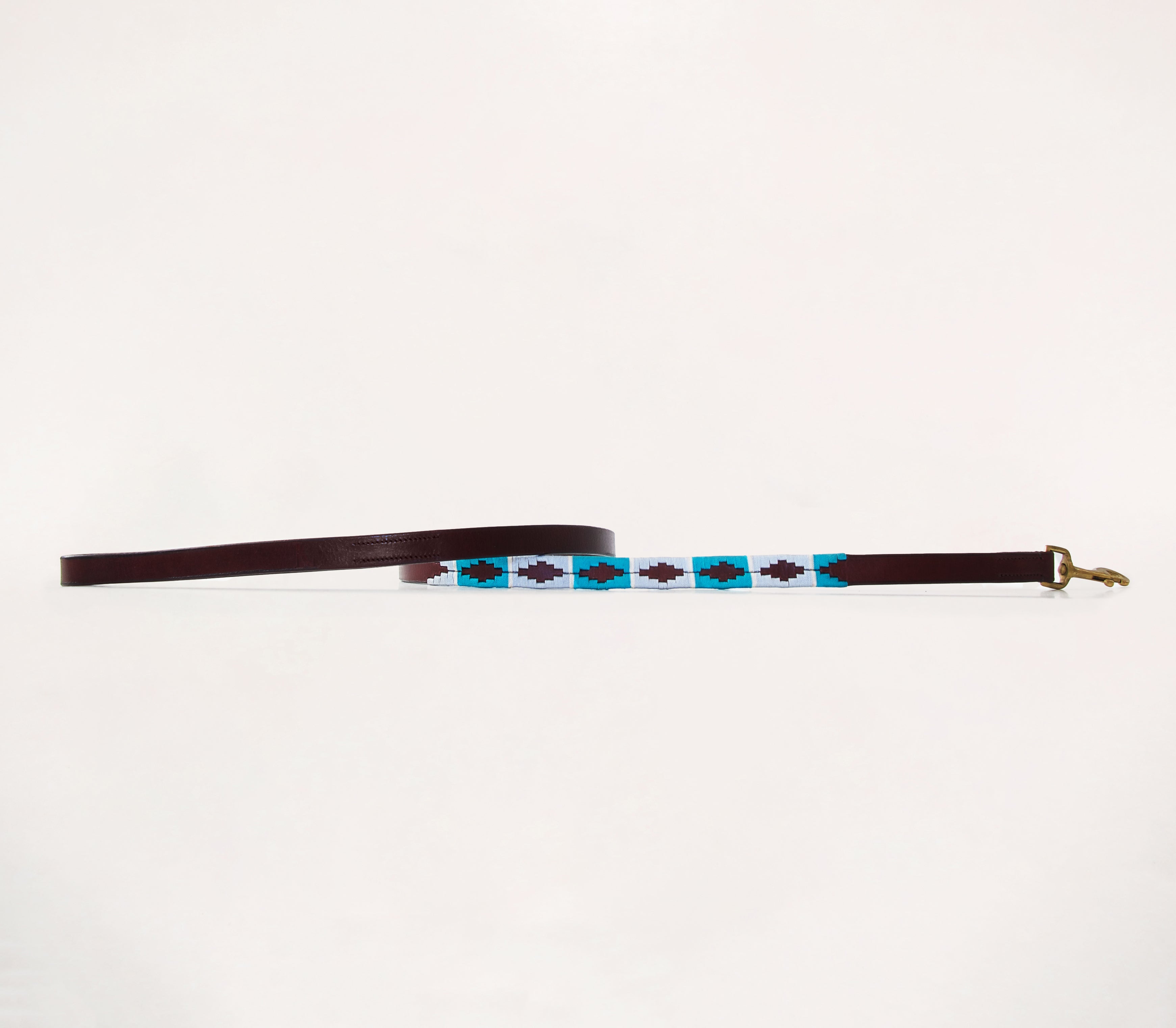 Dog Collar - Turquesa