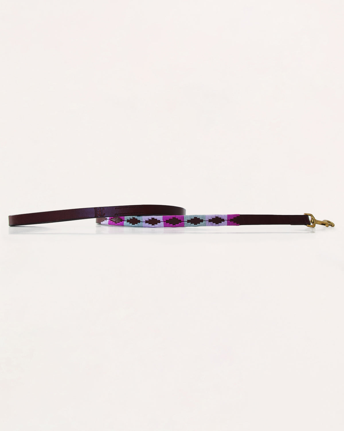 Dog Collar - Turquesa