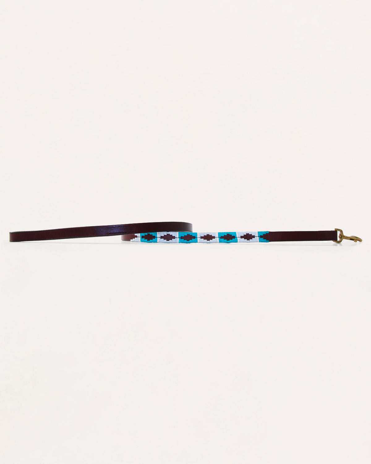 Dog Collar - Turquesa