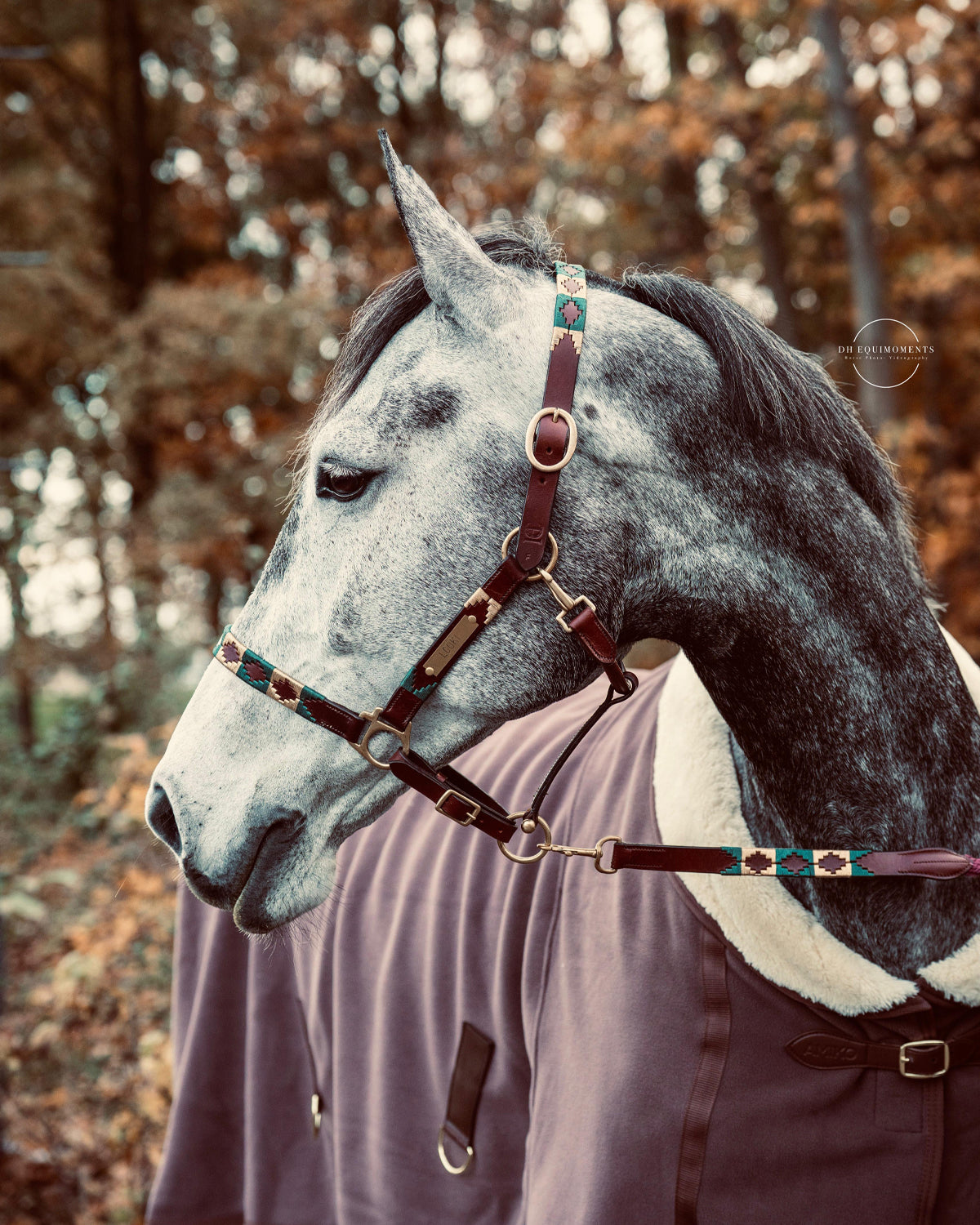 Personalized polo halter - Oro
