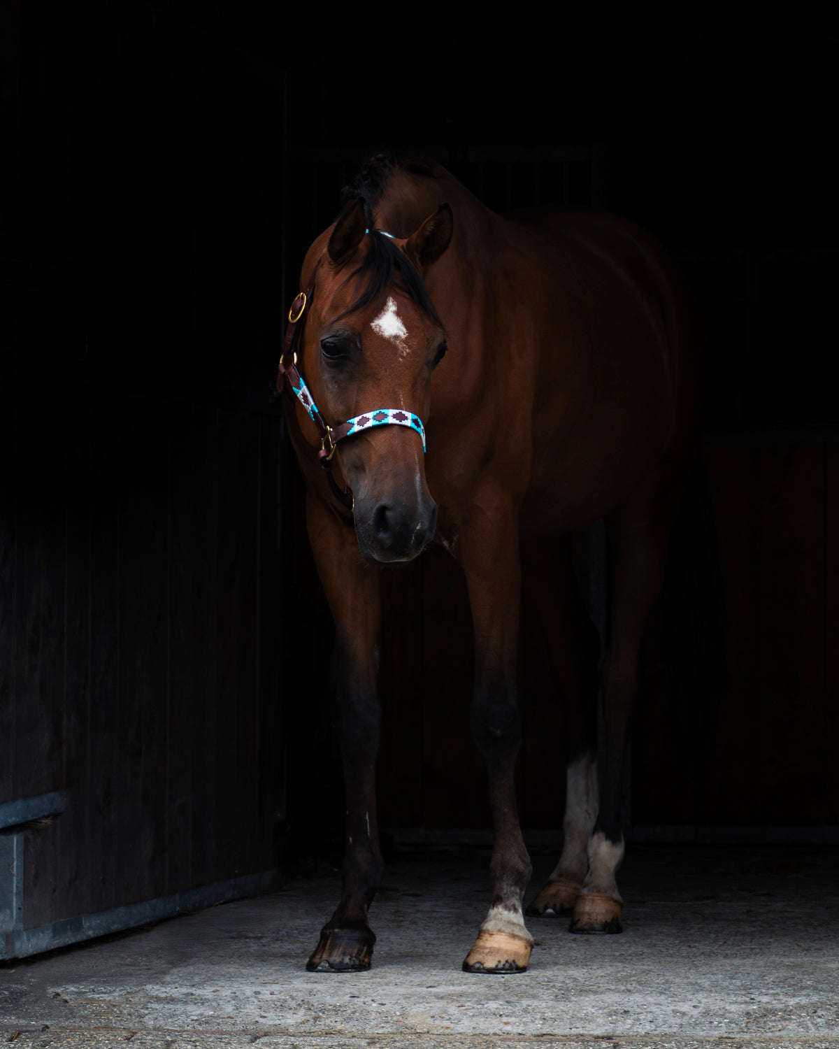 Polo Halter - Turquesa