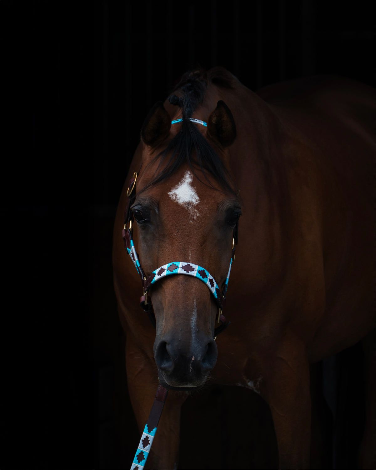 Polo Halter - Turquesa